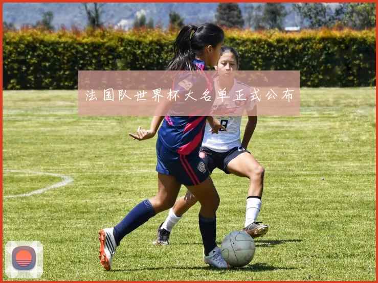法国队世界杯大名单正式公布