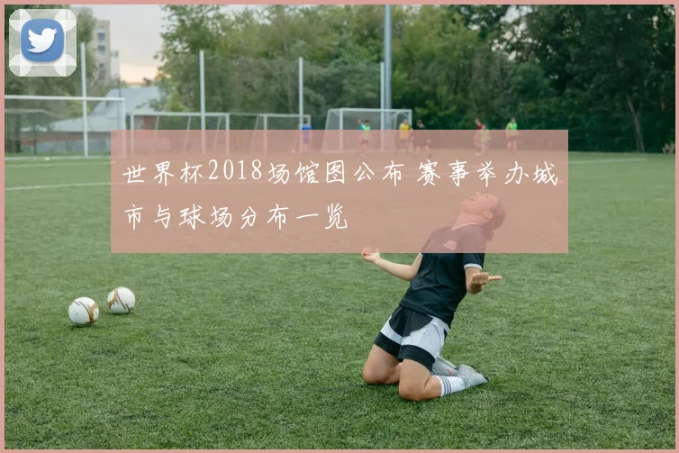 世界杯2018场馆图公布 赛事举办城市与球场分布一览