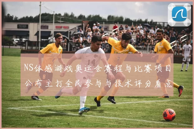 NS体感游戏奥运会赛程与比赛项目公布主打全民参与与技术评分看点