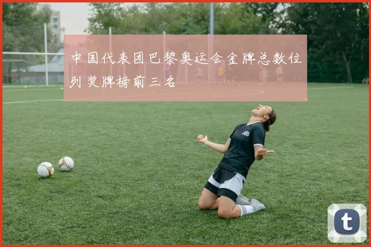 中国代表团巴黎奥运会金牌总数位列奖牌榜前三名