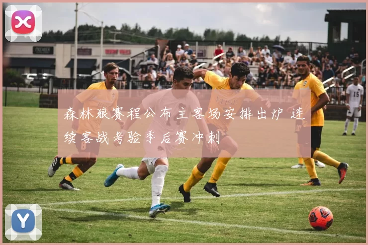 森林狼赛程公布主客场安排出炉 连续客战考验季后赛冲刺